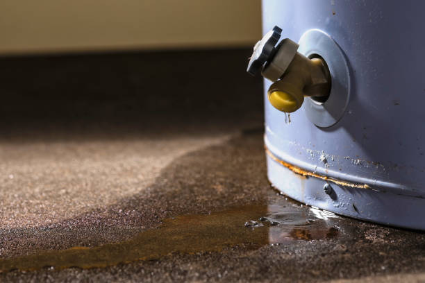Best Basement water damage restoration  in Tichigan, WI