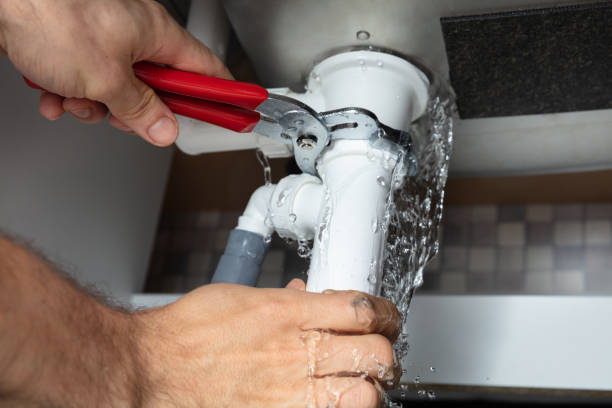 Best Mold removal after water damage  in Tichigan, WI