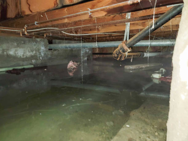 Best Water damage restoration insurance claims  in Tichigan, WI