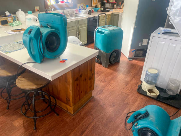  Tichigan, WI Water damage restoration Pros