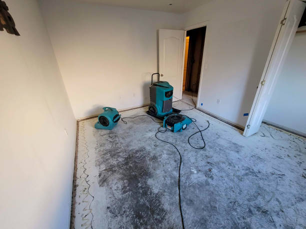 Best 24-hour water damage restoration  in Tichigan, WI
