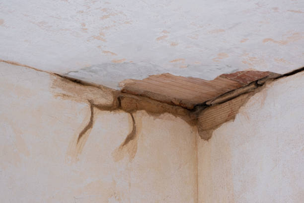 Best Water damage restoration cost  in Tichigan, WI