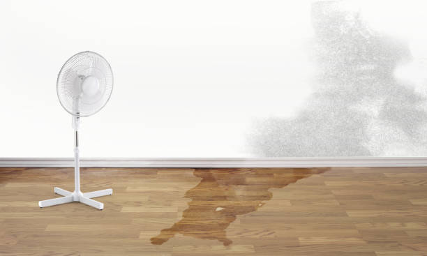 Best Sewage cleanup and water damage restoration  in Tichigan, WI