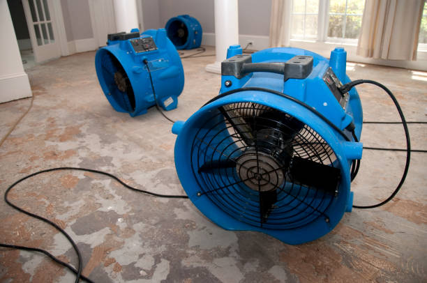 Best Ceiling water damage repair  in Tichigan, WI