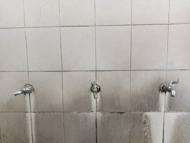 Best Carpet water damage restoration  in Tichigan, WI