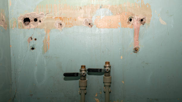 Best Mold removal after water damage  in Tichigan, WI