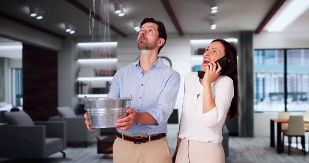 Best Professional water damage repair  in Tichigan, WI