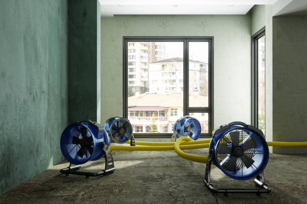 Best Residential water damage restoration  in Tichigan, WI